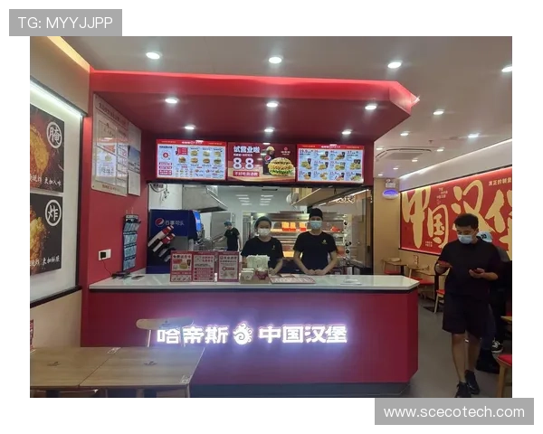汉堡保级成功继续追求稳健发展 汉堡保级成功继续追求稳健发展